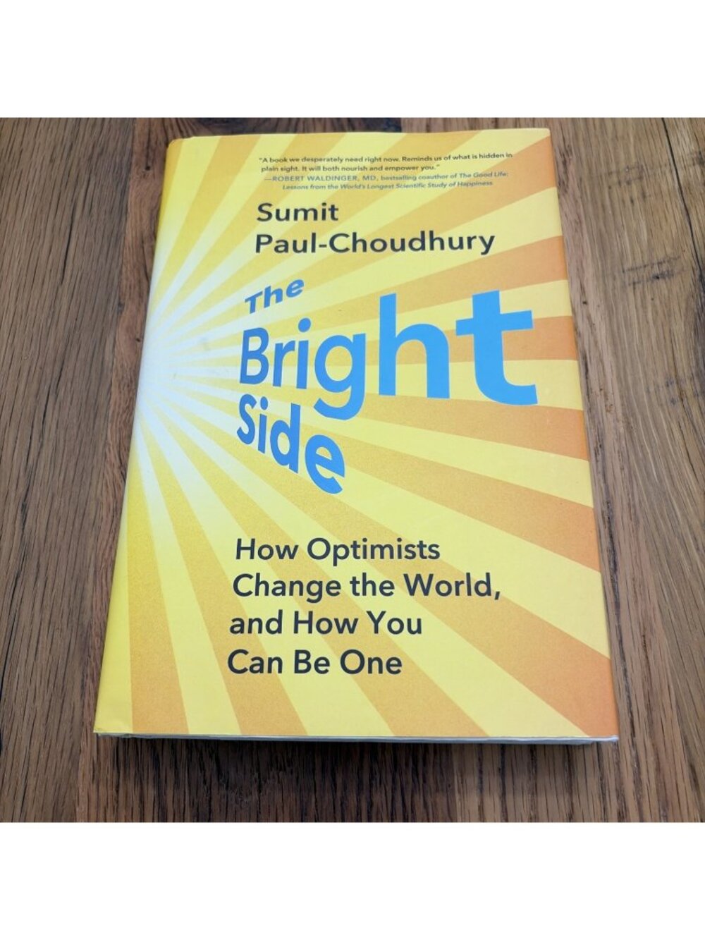 The Bright Side Submit Paul Choudhury Optimists Change The World
